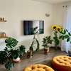 Furnished 2 Bed Apartment with En Suite in Parklands thumb 0