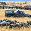 3 Days Best of Masai Mara Safari thumb 0