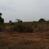 20 ac Land in Kikambala thumb 1