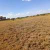 Success gardens plots kitengela thumb 3