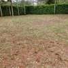 Beautiful one eighth plots in Ngong thumb 0