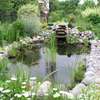 Pond maintenance/ Pond Installation/Pond leak repair Pros. thumb 5