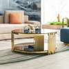 Glass Home Centre Coffee Table thumb 0