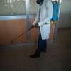 ELLA CLEANING,FUMIGATION SERVICES & DISINFECTION SERVICES IN NAIROBI thumb 1