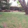0.65 ac Residential Land at Mbaazi Avenue thumb 2