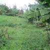 1/4-Acre Plot For Sale in Muthiga thumb 4