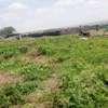 Affordable plots for sale in Isinya thumb 0