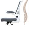 Office Chair; Mid Back Orthopedic Office Chair thumb 2
