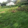 Lovely One Acre in Karen thumb 0