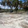 20-Acre Beach Plot For Sale in Kikambala thumb 4