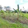 Prime 1 Acre Plot For Sale In Karen, Nairobi. thumb 3