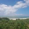 20 Acres Of Beach Land In Kikambala Kilifi Is For Sale thumb 3