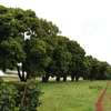 0.125 ac Residential Land at Juja - Gatundu Rd thumb 7
