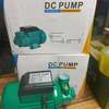 12 v DC water pump thumb 2
