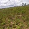 Mariakani Prime Plots For Sale with Title Deed thumb 2