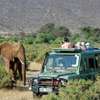 Tsavo West National Park Full Day Tour thumb 8