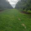 0.5 ac Land at Thika Grove Chania-Opposite Blue Post Hotel thumb 10