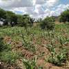 1200 acres of agricultural land along river makueni county thumb 3