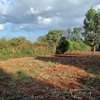 Residential Land at Kiukenda thumb 5