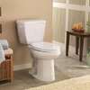 Best Toilet Repair & Installation.100% Satisfaction Guaranteed.Toilet Repair Services thumb 4