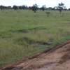 12,141 m² Commercial Land at Maanzoni Conservancy thumb 12