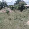 Vacant Plot for sale township Bahari Mpeketoni, Lamu thumb 1