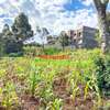 0.05 ha Residential Land at Muthiga thumb 1