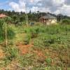 0.1 ha Residential Land in Kikuyu Town thumb 6