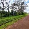 0.64 ac Residential Land in Thindigua thumb 0