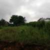 0.3 ac Residential Land at Kikuyu Road thumb 3