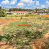 0.08 ha Commercial Land at Limuru thumb 9