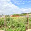 0.05 ha Residential Land at Lusigetti thumb 12