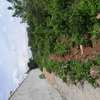 PRIME LAND AT The NEW GOVERNOR'S OFFICE HOMA BAY thumb 1