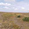50 by 100 and 1 Acres in Nanyuki thumb 7
