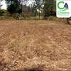 100by75 Plot for sell Kibabii (Bungoma) thumb 0