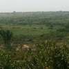 Affordable land for sale in Muthaara, Thika. thumb 2