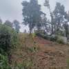 0.173 ac Residential Land at Ngong thumb 2