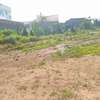 Prime 50 by 60 ft Plot For Sale In Murera, Ruiru. thumb 2