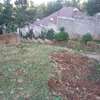 Lovely One Eighth Plot in Ngong thumb 6