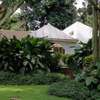 4 Bed House with En Suite at Off Ruaka Rd thumb 19