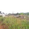 4 Acres Land for Sale thumb 9