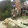 Best Tree Cutting Services Nairobi | Landscaping & Gardening Services.Get A Free Quote Now. thumb 4