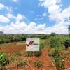 0.5 ac Residential Land in Thome thumb 5
