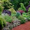 Hire Skilled Gardeners in Kiambu Today | Call Now Today thumb 2