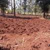 40X80ft PLOTS FOR SALE AT KENOL TOWN JUST BEHIND MAGUNAS thumb 5