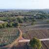 0.35 ac Land at Green Heart Of Kenya thumb 2