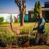 Bestcare Gardeners Tigoni Ruaka Limuru Kiserian Ruiru thumb 5