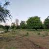 Residential Land in Nyali Area thumb 5