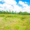 Prime ½ acre plots for sale in Lusingetti Kikuyu thumb 3