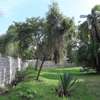 Residential Land in Lavington thumb 5